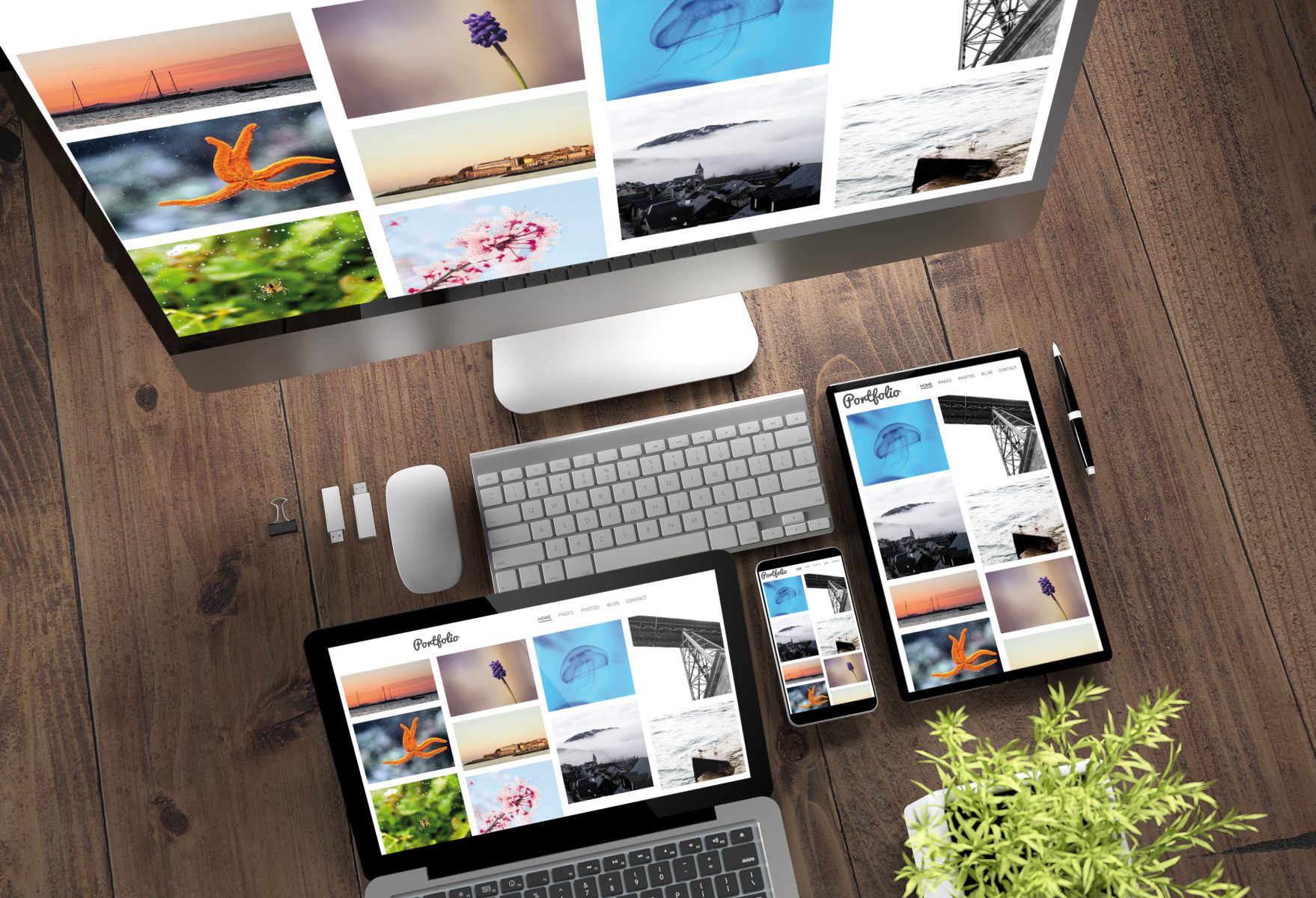 The Importance of Photos and Graphics for Your Website