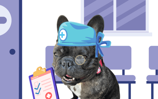 From Poop Science to Politics: Proof That Dogs Rule the World