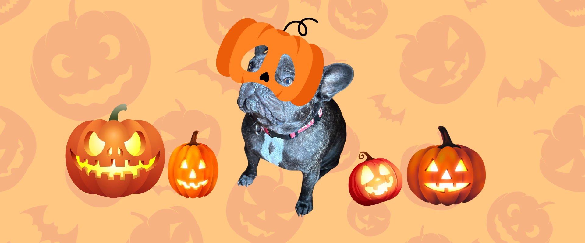 What Even Are Jack-O’-Lanterns?