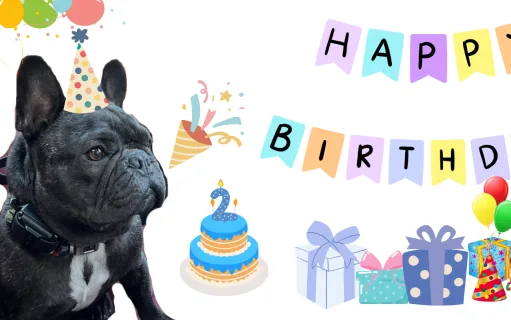 GIVE ME PRESENTS YOU PEASANTS