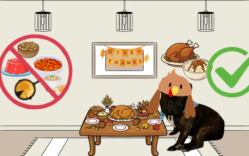 Winston’s Thanksgiving Food Report: You’re Doing It Wrong