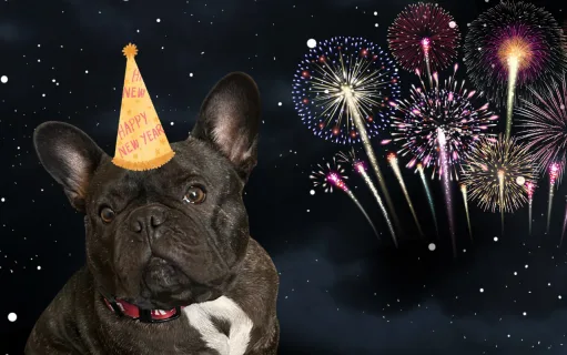 New Year, Same Me: A Resolution to Stay Perfect