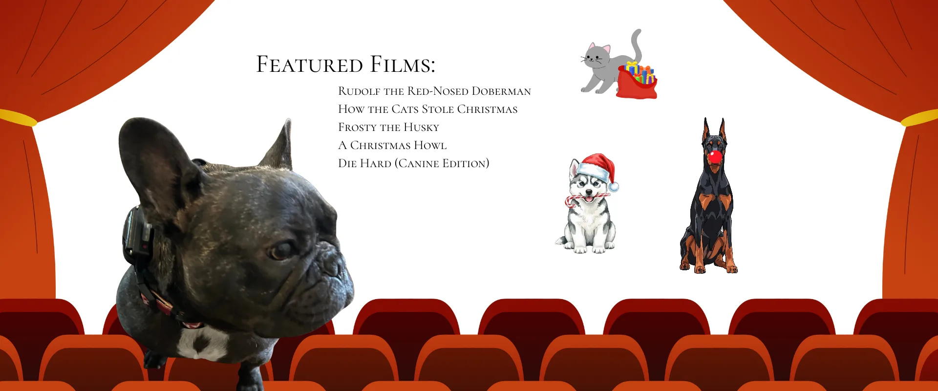 Lights, Camera, Paw-ction