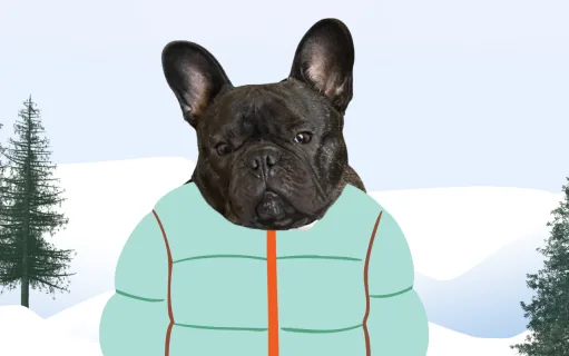 Winston v. The Winter Coat