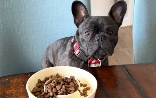 The Treat Famine of 2026