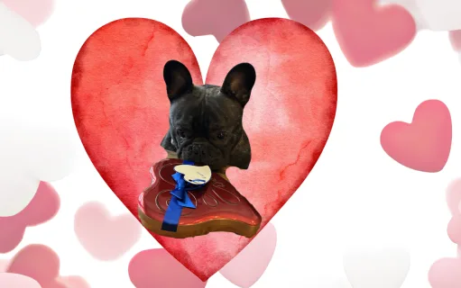 Roses Are Red, I Was Ignored