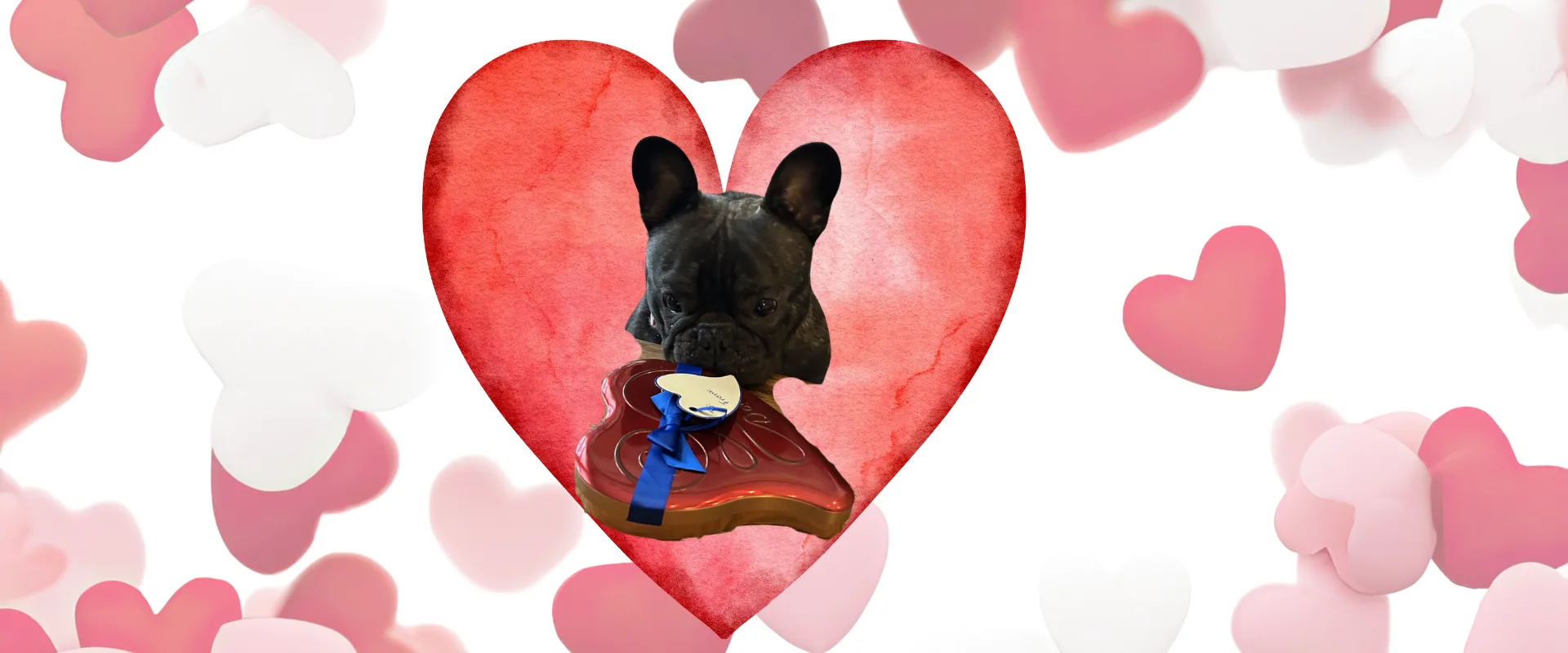 Roses Are Red, I Was Ignored