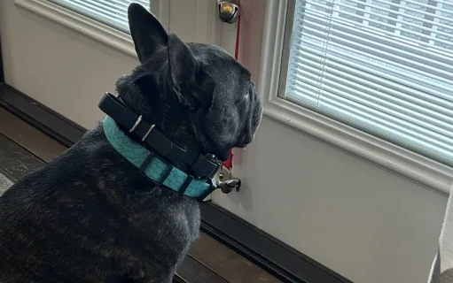 Operation: Stop Mom From Leaving