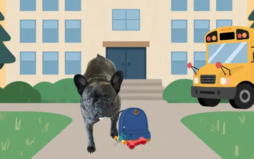 Off to a Ruff Start: My 2026-2027 School Year