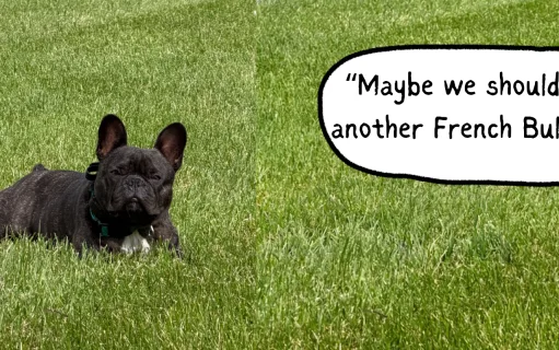 The Great Puppy Betrayal